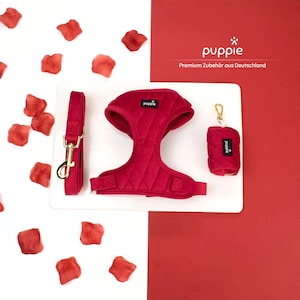 Puede incluir: Un arnés, una correa y un portador de bolsas para perros de color rojo acolchado con herrajes dorados. La marca "puppie" está impresa en el arnés y el portador de bolsas para perros. El texto "Premium Zubehör aus Deutschland" está impreso sobre un fondo rojo.