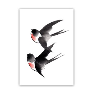 Carte postale hirondelles