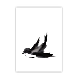 Oiseau de carte postale