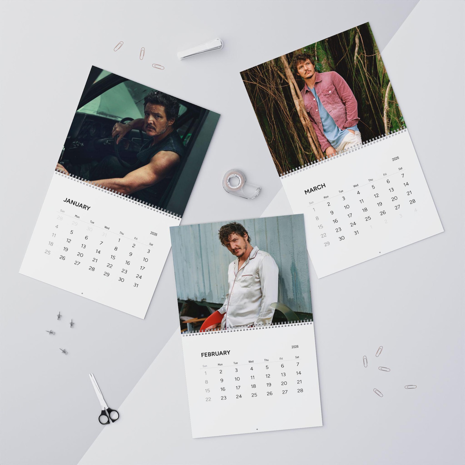 Pedro Pascal 2026 Wall Calendar - TV Show Gift, Actor, Gift for Pedro ...