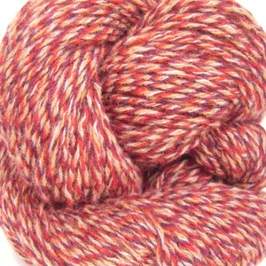 May include: A skein of yarn in a multi-colored blend of red, orange, white, and brown. The yarn is soft and fluffy, and it would be perfect for knitting or crocheting.