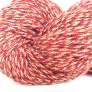May include: A skein of yarn in a multi-colored blend of red, orange, white, and purple.