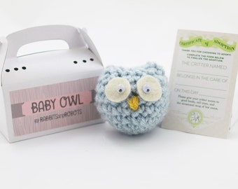 Baby Owl Adoption Kit