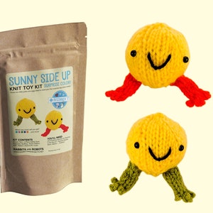 Sunny Side Up Surprise Knitting Kit image 1