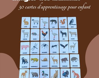 Animal picture book for children, card game to learn animal names