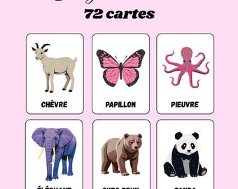 Animal picture book: forest, savannah, sea, insect