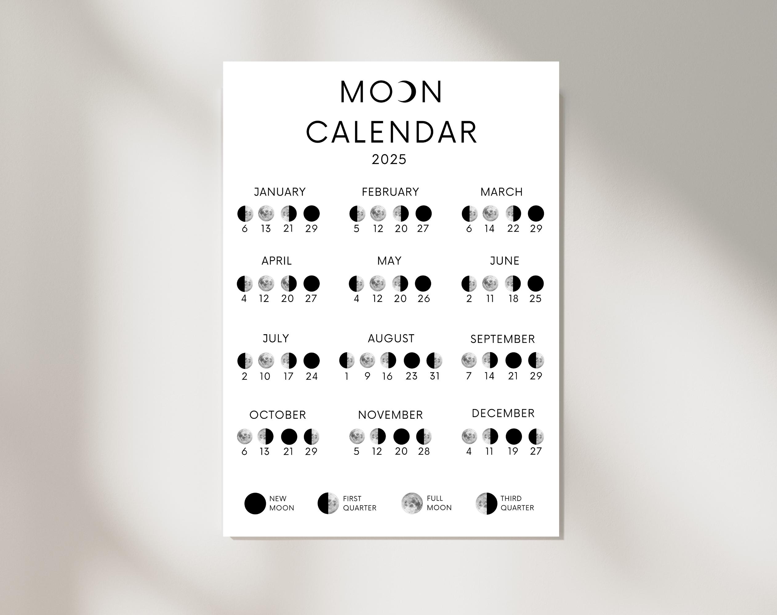 【未使用品】C105 TYPE MOON 2025 プレミアムカレンダー 未使用品】C105 TYPE MOON 2025 プレミアムカレンダー C105 2025
