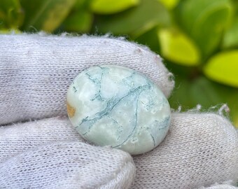 Pode incluir: Pedra preciosa oval com um padrão marmorizado azul claro e branco, com delicadas veias azuis. A pedra tem uma superfície lisa e polida e uma pequena área de cor castanha clara. O fundo é folhagem verde desfocada.
