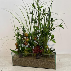 May include: A rectangular glass terrarium filled with sand, succulents, and various plants. The arrangement includes tall green grass-like blades, leafy green plants, and small red and yellow berries. The terrarium sits on a light-colored surface.