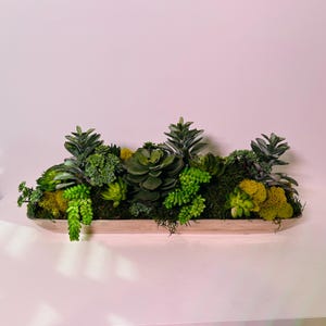 May include: A rectangular succulent arrangement featuring a variety of green plants and moss. The succulents are in shades of green and yellow, arranged in a long, light-colored container. The arrangement is a decorative piece.