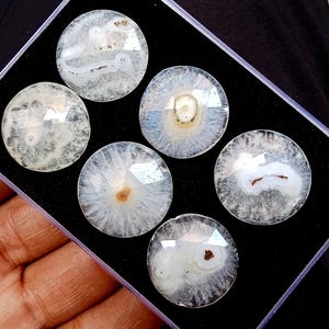 Può includere: Sei pietre di agata rotonde e lucide con bordo sfaccettato sono esposte in una scatola nera. Le pietre sono principalmente bianche con intricati motivi naturali nei toni del marrone e del grigio. Le pietre hanno un diametro di circa 3,8 cm.