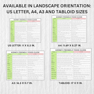 Kidney-Friendly Food Guide Printable PDF – Easy-to-read chart with foods to eat and avoid for kidney health. Available in US Letter, A4, A3, and Tabloid sizes. Perfect for meal planning, CKD diet, and renal nutrition. Instant download for quick access!