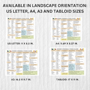 Kidney-Friendly Grocery List printable shopping guide in landscape format, featuring a categorized list of low-potassium, low-phosphorus, and low-sodium foods with checkboxes for easy meal planning. Available as a digital PDF download in multiple sizes