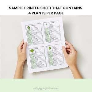 Printable Gardening Flashcards Featuring 150+ Plants With Companion Planting, Spacing, Pests, Watering, Sunlight, And USDA Zone Info — 4 Cards Per US Letter Page