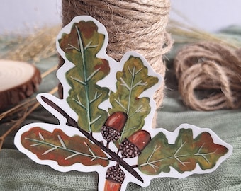 Adesivo in vinile con ramo di quercia e ghiande – adesivo carino e accogliente – cancelleria decorativa con tema natura e piante