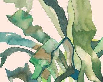 STAGHORN 2 (Giclée Print of Original Watercolor Painting Illustration Wall Art Home Decor Gift Staghorn Fern Houseplant)