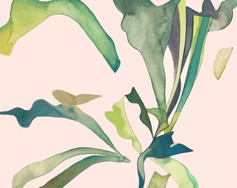 STAGHORN 1 (Giclée Print of Original Watercolor Painting Illustration Wall Art Home Decor Gift Staghorn Fern Houseplant)