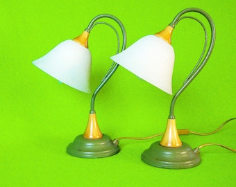 Pair of Vintage Tulip-Style Table Lamps | Frosted Glass | Curved | Nature