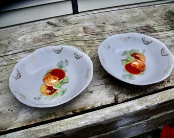 2  5" BOWLS w/  either PEACHES or APPLES hand painted in  center-- 5" x 1 1/4" --Made in GeRMANY--can't read anything except fruit & Germany