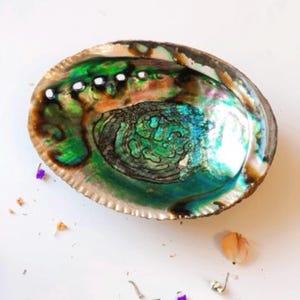 Abalone Shell Ring Dish -- Natural Jewelry Holder, Smudge Bowl, Crystal Offering Shell, Coastal Decor, Seashell Trinket Dish