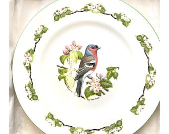 Plato de porcelana fina de Staffordshire con diseño de pájaros y flores, 8,25 pulgadas, Inglaterra