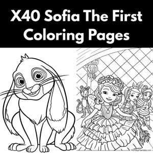 Puede incluir: Una colección de X40 páginas para colorear de Sofia The First con arte lineal en blanco y negro. El lado izquierdo muestra un conejo, mientras que el derecho representa a Sofia con un vestido de volantes y una varita, junto a otros personajes.