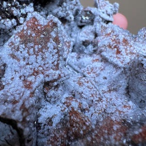 Calcite enneigée Calcite à dents de chien avec hématite et arogonite Mine Potosí Santa Eulalia Chihuahua Mexique