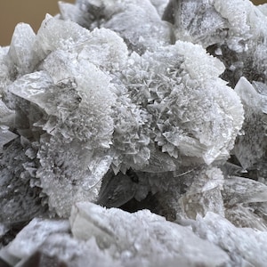 Dog Tooth Calcite Julimes Chihuahua Mexico