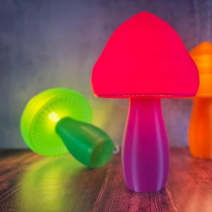 Mushroom lamp Eco-responsible  - Natural design and soft light