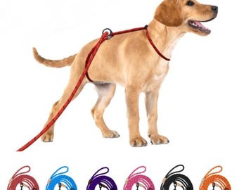 YOKUM GEAR 12ft No Choke Leash Long Rope Dog Leash, Anti Pulling Dog Leash,  Dog Leads for Walking, Double Hook & Escape Proof for All Breeds - Etsy