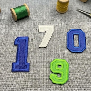 Custom Number Embroidered Patch: Iron-On or Hook & Loop