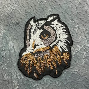 May include: Embroidered owl patch with detailed stitching in white, brown, and gold on a black backing. The patch depicts the owl's face with intricate feather patterns and a focused gaze, suitable for jackets or bags.