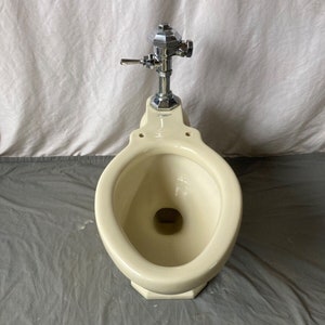 May include: A vintage off-white toilet bowl with a chrome flush valve.