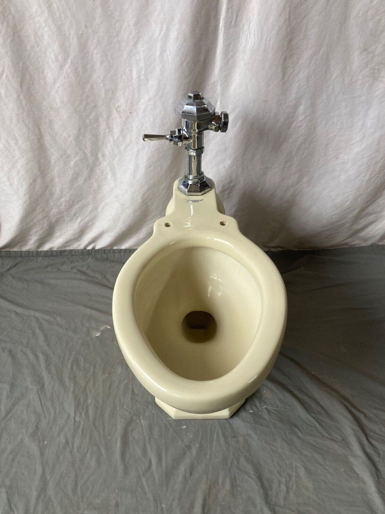 May include: A vintage off-white toilet bowl with a chrome flush valve.
