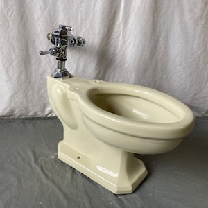 May include: A vintage off-white toilet bowl with a chrome flush valve.
