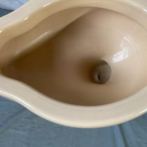 May include: Close-up of the inside of a white ceramic toilet bowl. The bowl is smooth and clean, with a small hole in the center.