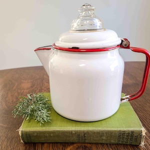 May include: A white enamelware teapot with a red rim and handle, and a clear glass lid. The teapot is sitting on a green book. A sprig of greenery is next to the teapot. The teapot is a vintage kitchen item.