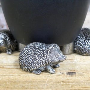 May include: Three silver-coloured hedgehog figurines, each with a detailed textured design, are placed around the base of a black planter. The hedgehogs are positioned on a wooden surface.