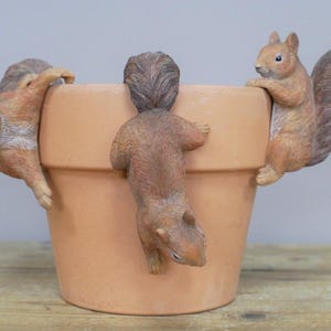 May include: A terracotta plant pot adorned with three squirrel ornaments. The squirrels are in different positions, appearing to climb the pot's rim. The pot is a classic shape and design, suitable for a garden.