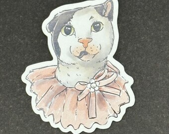 Può includere: Un gatto bianco e nero con occhi grandi che indossa un colletto rosa a balze con un fiocco di fiore bianco.