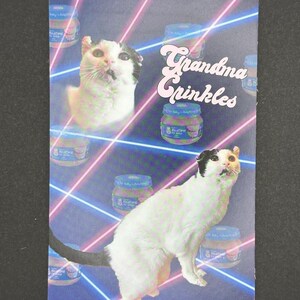 Carte postale de jambon des années 80 de grand-mère, image de chat drôle, chats de sauvetage, animaux de sauvetage, dame de chat folle, miaou, cadeau de chat, à but non lucratif, vieux chat
