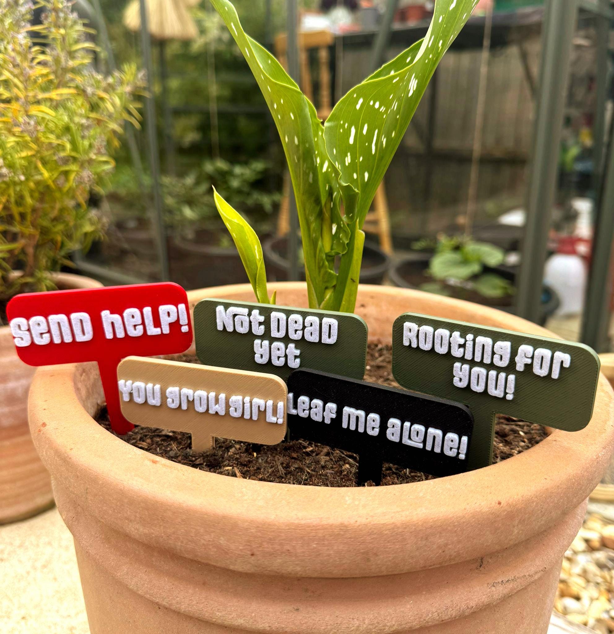Funny 3D Printed Plant Labels: Quirky Garden Markers - Etsy