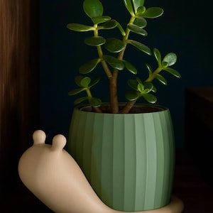 以下が含まれることがあります： 棚に置かれた、翡翠の植物が入った緑色の植木鉢。 植木鉢は、垂直の溝がある明るい緑色です。 ベージュ色のカタツムリ型のプランターが鉢の前にあります。