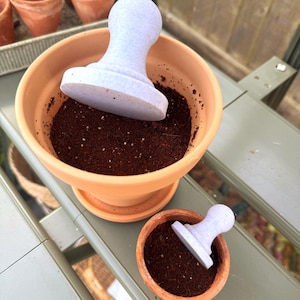 Puede incluir: Dos macetas de terracota llenas de posos de café marrón oscuro. Un tamper de cerámica blanco descansa sobre los posos de café en la maceta más grande. La maceta más pequeña está en el estante inferior de una estantería de madera.