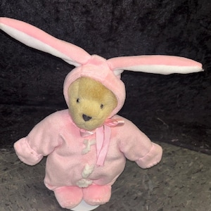 Può includere: Un orsacchiotto di peluche con un costume da coniglietto rosa. Il costume include un cappuccio con lunghe orecchie rosa e bianche, una tuta rosa e piedi rosa. L'orso ha una faccia marrone chiaro e un nastro rosa intorno al collo.