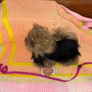 May include: A plush toy dog with brown and black fur, resting on a handmade crochet blanket. The blanket features a color scheme of pink, yellow, and peach. A pink leash is attached to the toy dog, and a small heart-shaped tag with the words "love me" is also present.