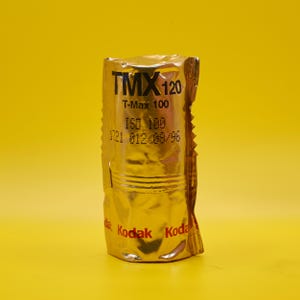 May include: A gold-colored Kodak TMX 120 film roll, with black text including "TMX 120", "T-Max 100", and "ISO 100". The film is in a crinkled foil package against a yellow background.