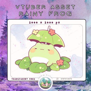 VTUBER / PNGtuber Static Asset | Rainy Frog | Static Stream & Twitch Decoration | Nature Pet | Digital Download | Cute Rain Frog | PNG