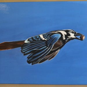 El vuelo del arrendajo