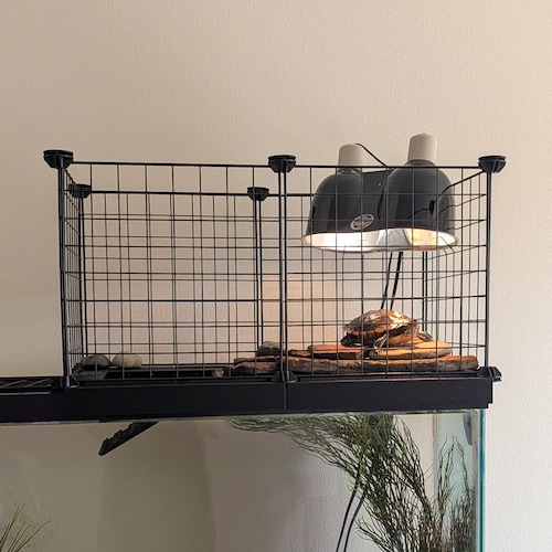 Turtle Basking Platform Fully Custom Dock Accessories